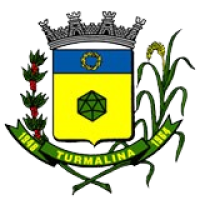 Prefeitura Municipal de Turmalina
